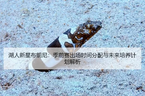 hu-ren-xin-xing-bu-lang-ni-ji-qian-sai-chu-chang-shi-jian-fen-pei-yu-wei-lai-pei-yang-ji-hua-jie-xi-2-290.jpg