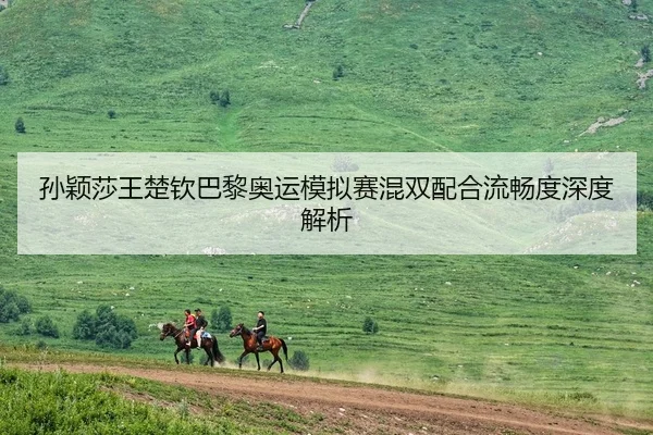 孙颖莎王楚钦巴黎奥运模拟赛混双配合流畅度深度解析