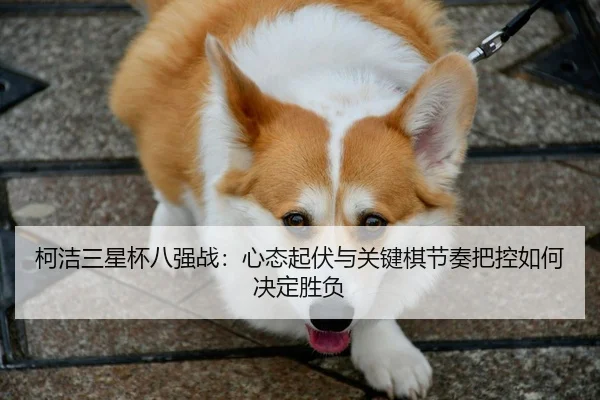 ke-jie-san-xing-bei-ba-qiang-zhan-xin-tai-qi-fu-yu-guan-jian-qi-jie-zou-ba-kong-ru-he-jue-ding-sheng-fu-2-734.jpg
