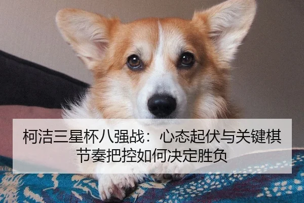 ke-jie-san-xing-bei-ba-qiang-zhan-xin-tai-qi-fu-yu-guan-jian-qi-jie-zou-ba-kong-ru-he-jue-ding-sheng-fu-3-616.jpg