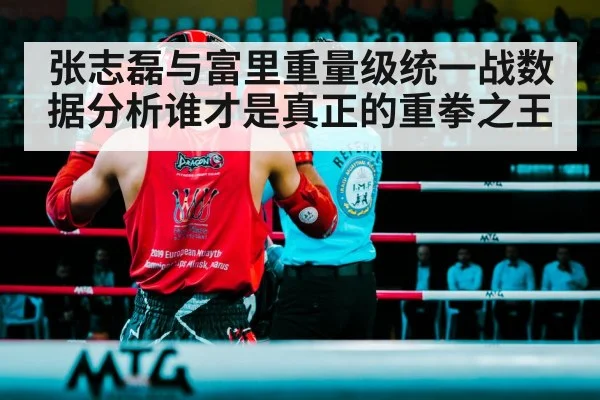 张志磊与富里重量级统一战数据分析谁才是真正的重拳之王